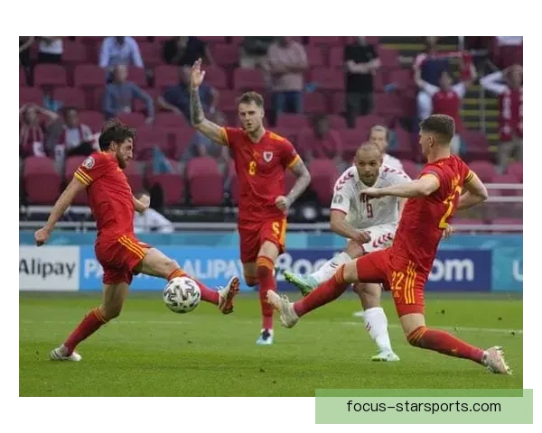 斯旺西俱乐部百年风云与威尔士足球荣耀征程全景解析历史传承与未来展望