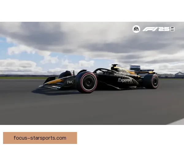 F1最新赛季激烈角逐各车队实力与战略全面解析