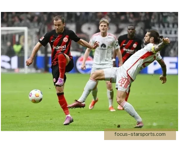 弗赖堡俱乐部最新动态揭秘球队新赛季备战与转会策略